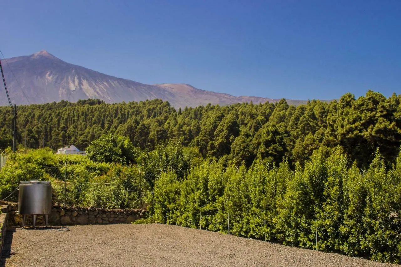 Holiday Home El Teide Icod De Los Vinos