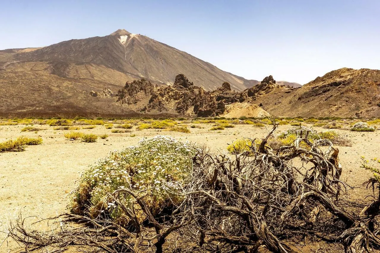 Holiday Home El Teide Icod De Los Vinos Ισπανία